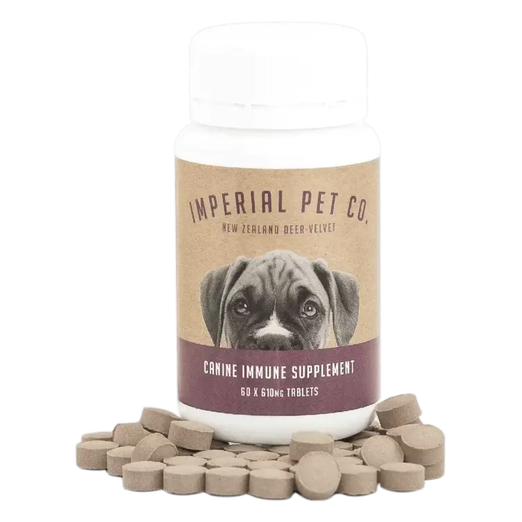 Canine-Immune.png