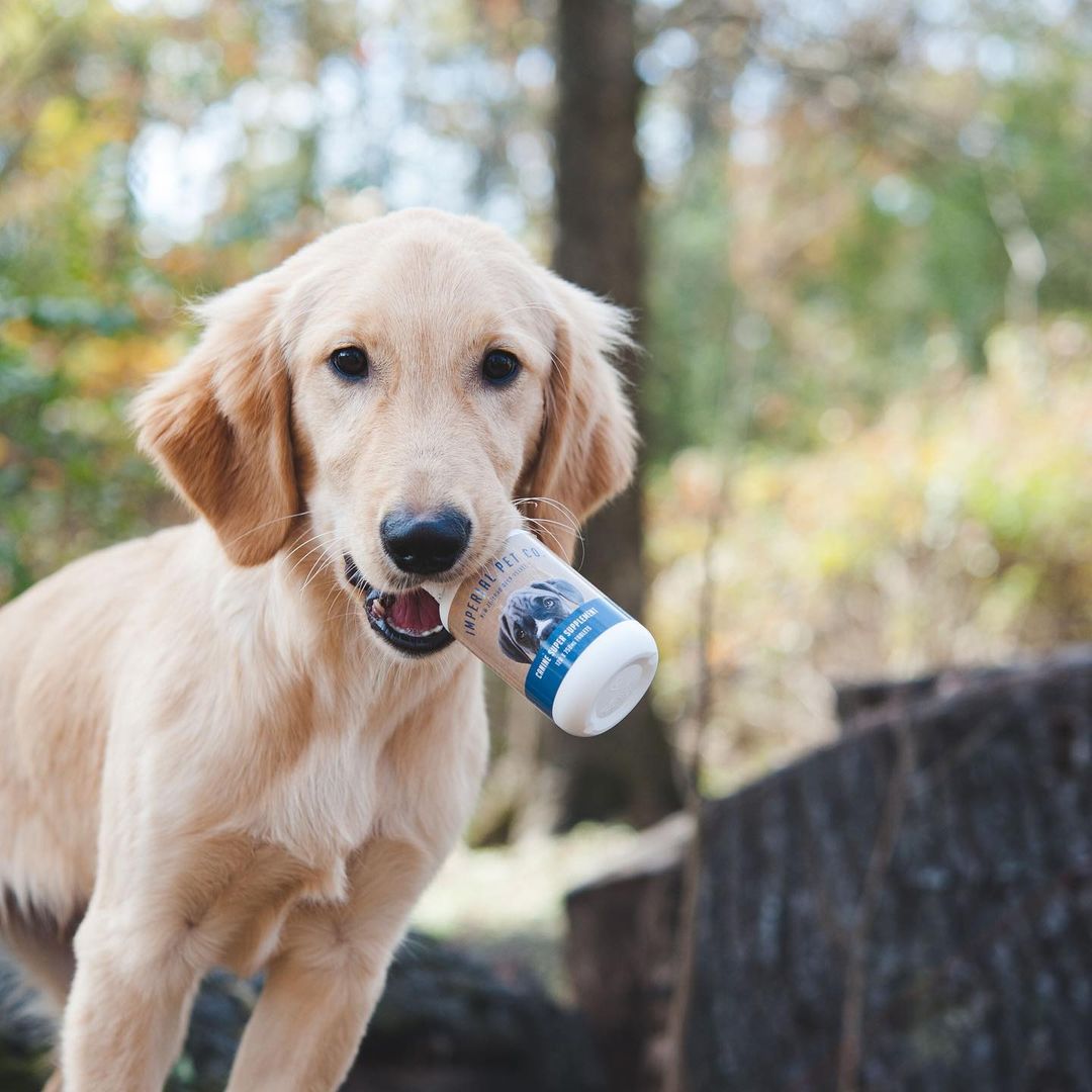 Imperial Pet Co joint supplement