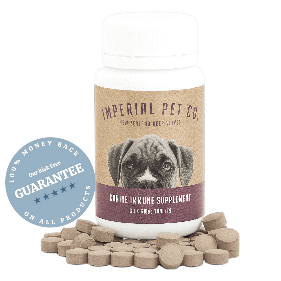Imperial Pet Co Canine Immune Supplement